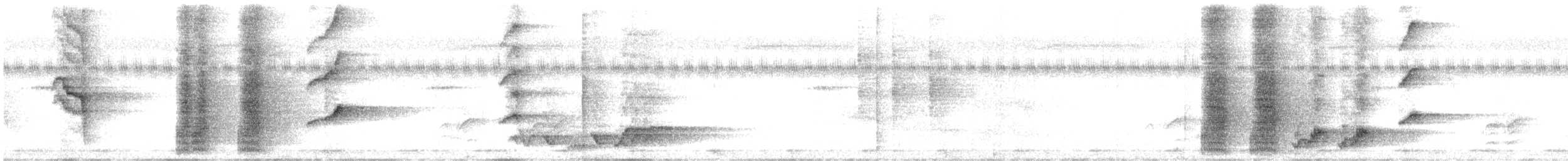 drongo vlajkový - ML646179505