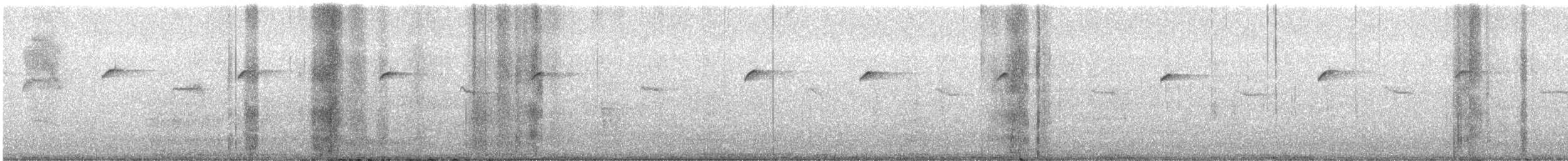 Western Flycatcher - ML646179600