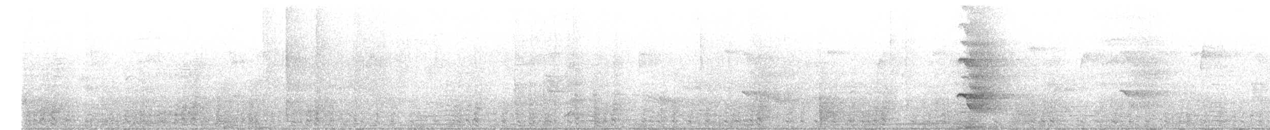 čačalaka kropenatá - ML646179646