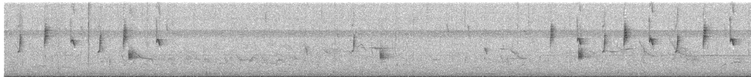 kolibřík ametystouchý - ML646179698