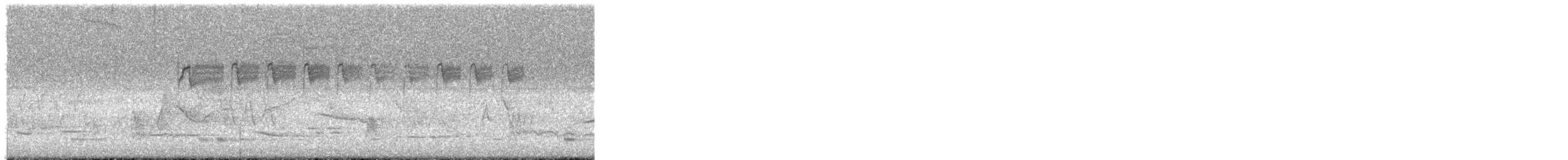 kolibřík límcový - ML646179699