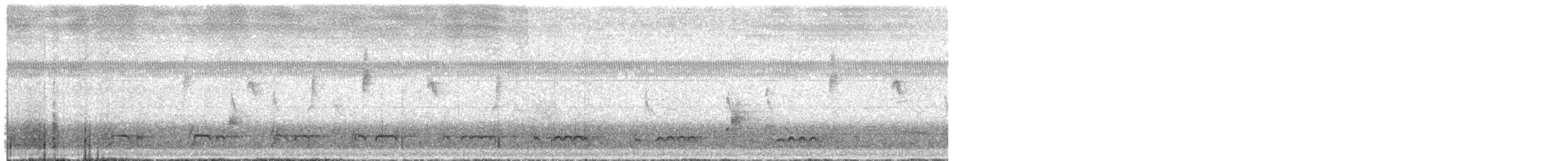 lenivka bělouchá - ML646179828