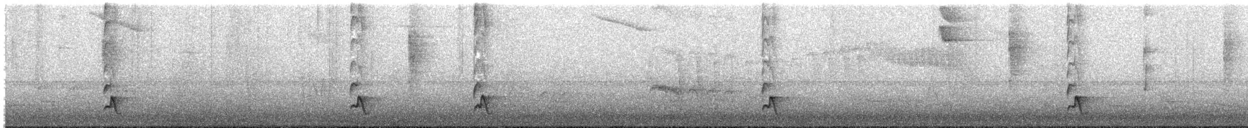 Swallow-tailed Manakin - ML646179853