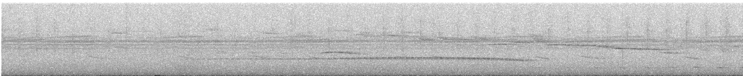 Rough-legged Tyrannulet - ML646180002