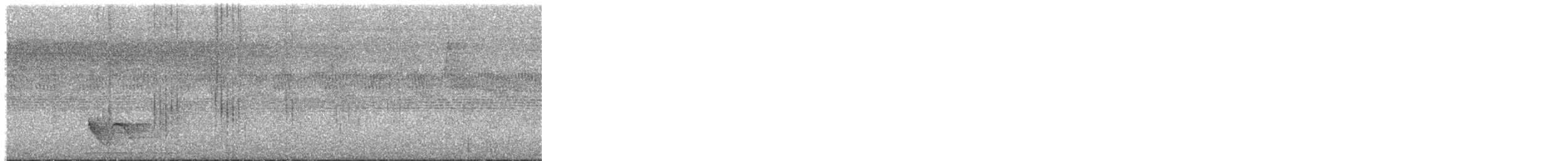 Pin-tailed Manakin - ML646180649