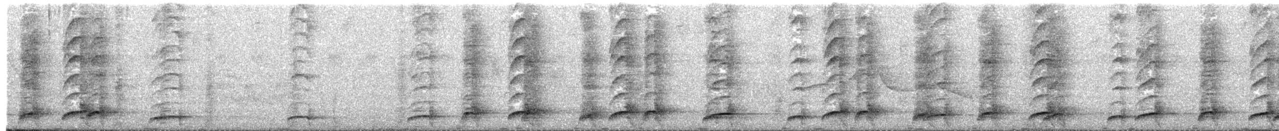 Slaty-breasted Wood-Rail - ML646180752