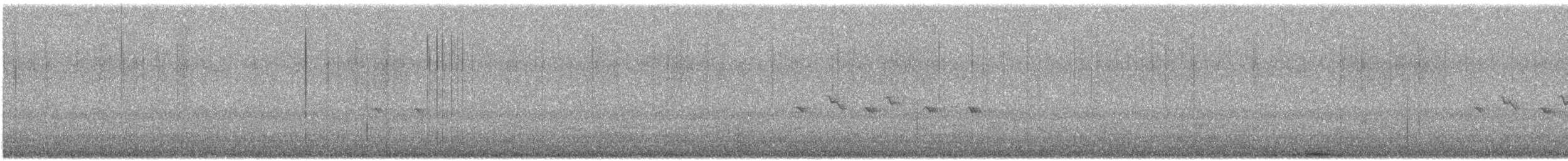 House Finch - ML646180758