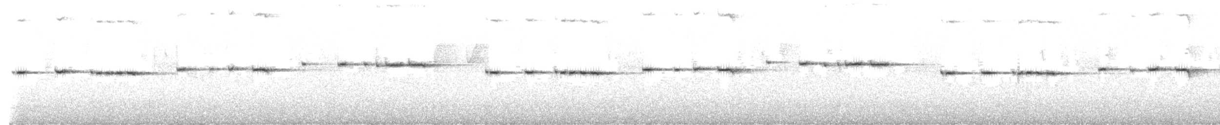 Spotted Elachura - ML646180765