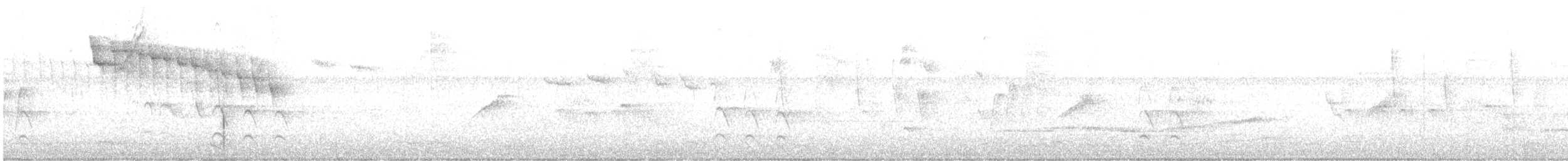 Rufous-tailed Hummingbird - ML646181018