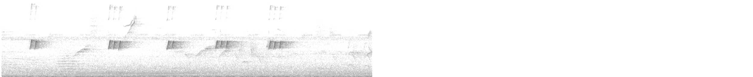 Common Tody-Flycatcher - ML646181042