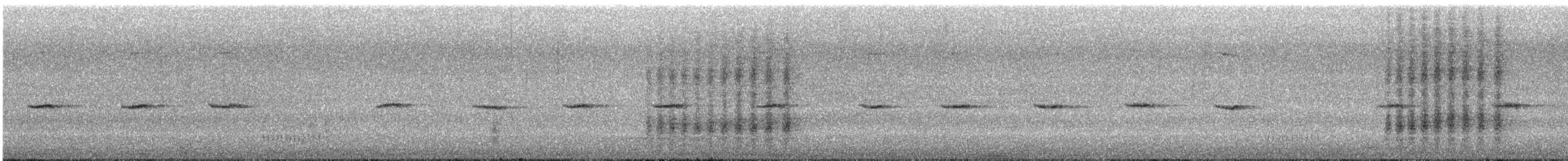 Common Nightingale - ML646181419