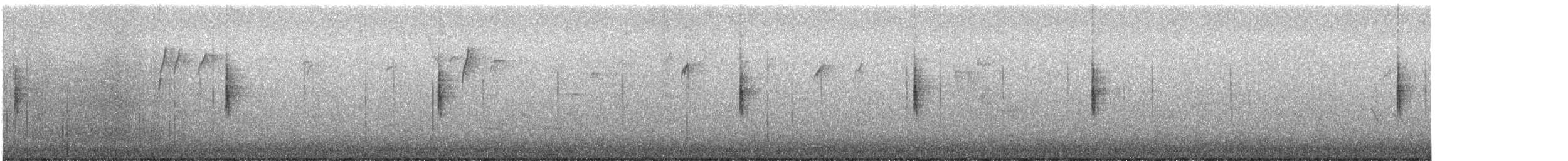 MacGillivray's Warbler - ML646181856