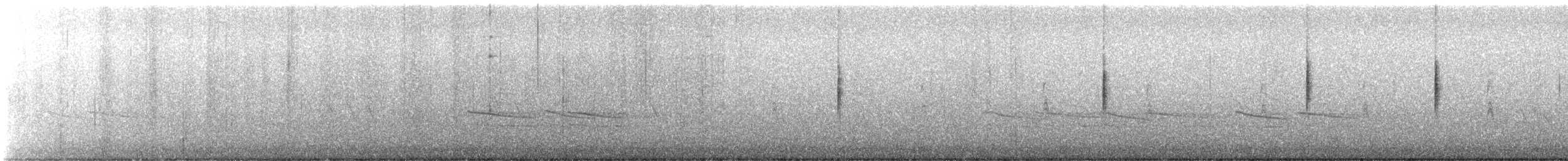 MacGillivray's Warbler - ML646181857