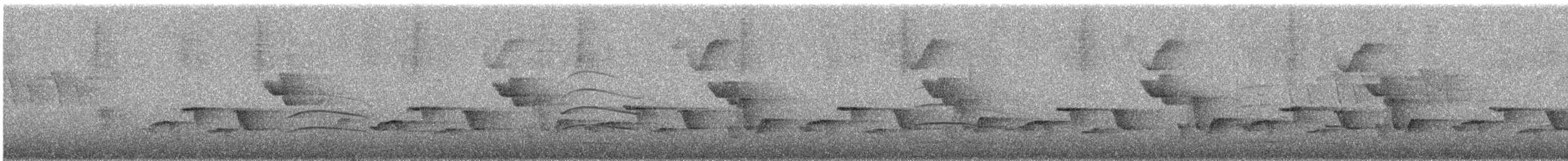 Gray-breasted Wood-Wren - ML646182946