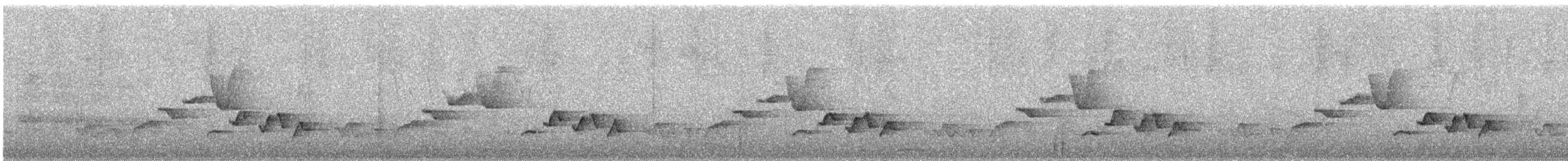 Gray-breasted Wood-Wren - ML646182959