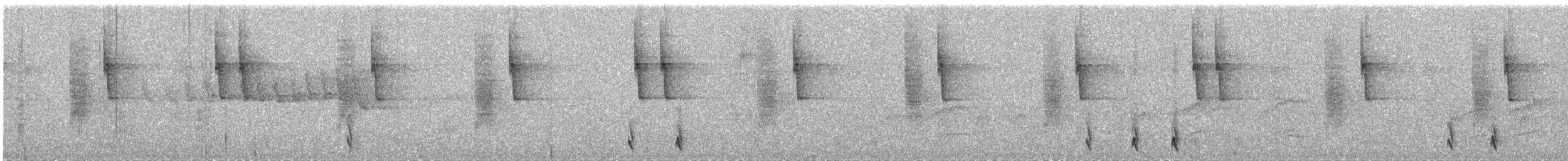 Lesser Violetear - ML646183077