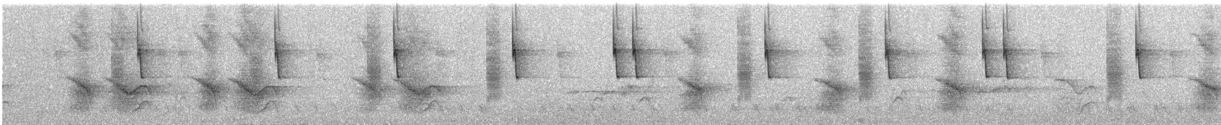 Turquoise Jay - ML646183173