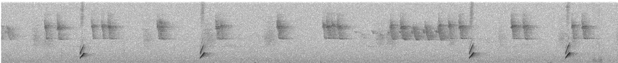 Blackish Tapaculo - ML646183200