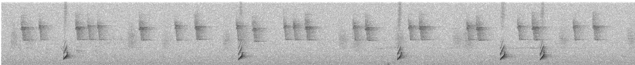 Blackish Tapaculo - ML646183201