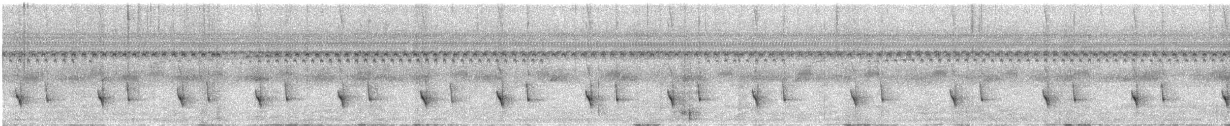 Marsh Antwren - ML646183394
