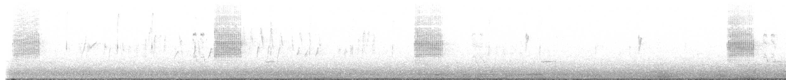 Great Gray Shrike (Arabian) - ML646183401