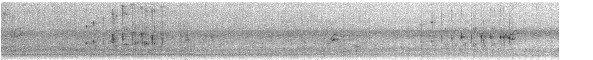 White-crested Tyrannulet - ML646183584