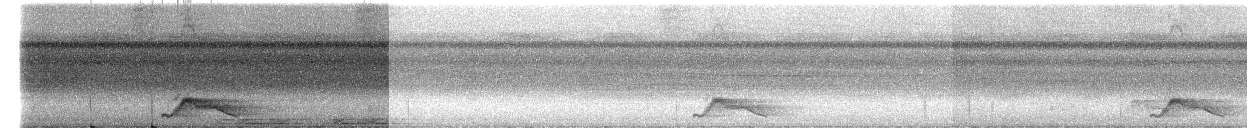 Common Pauraque - ML646183715