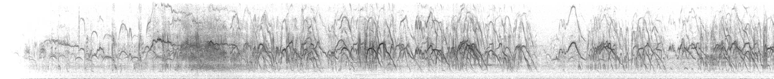 Plumed Whistling-Duck - ML646183790