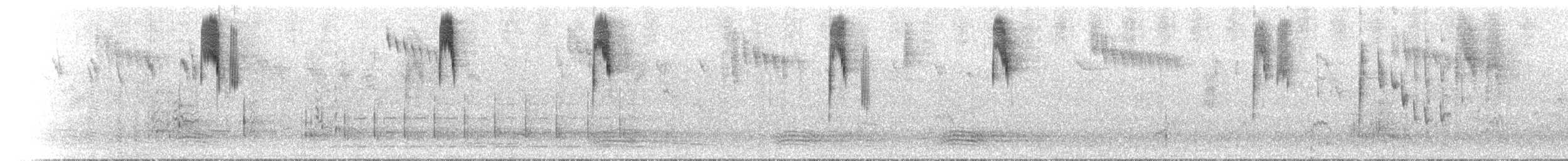 Superb Fairywren - ML646183874