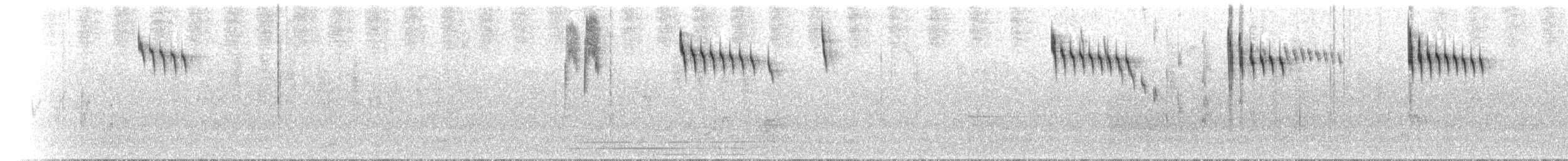 Superb Fairywren - ML646183875