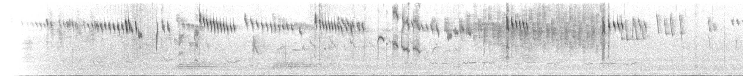 Superb Fairywren - ML646183878