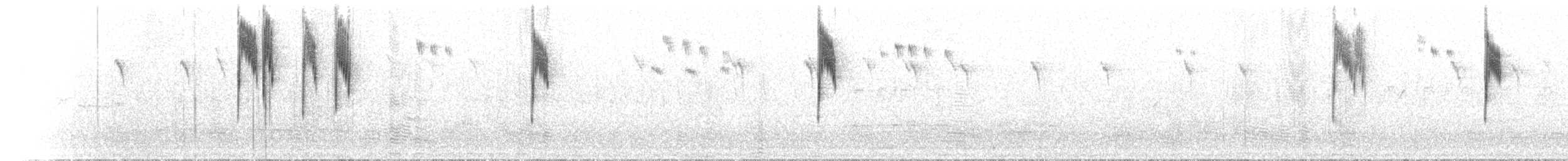 Superb Fairywren - ML646183888