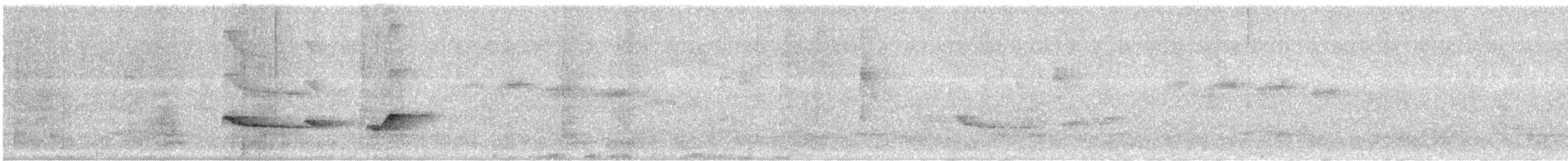 Greenish Schiffornis - ML646183897