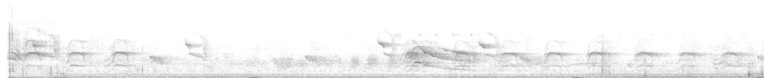 Roadside Hawk (Northern) - ML646184464