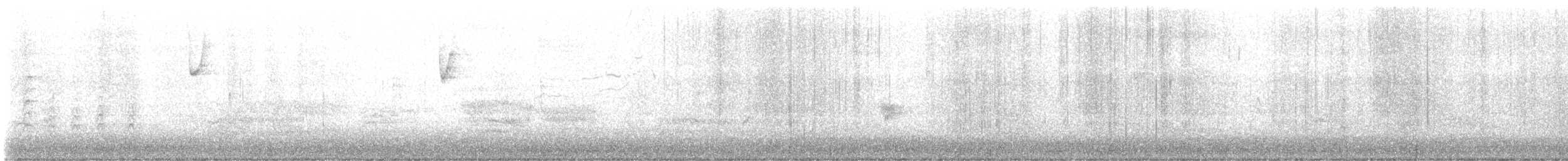 hawk sp. - ML646184719