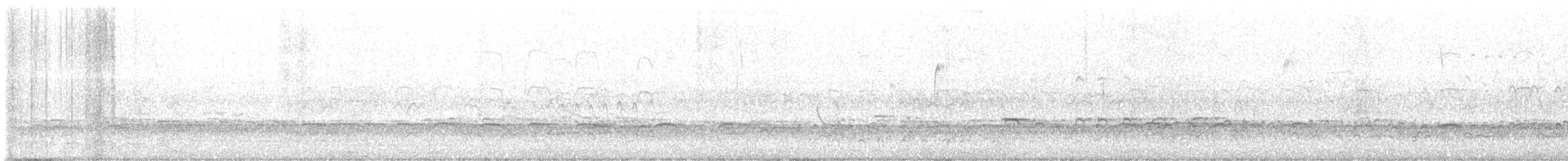 American Oystercatcher - ML646184906