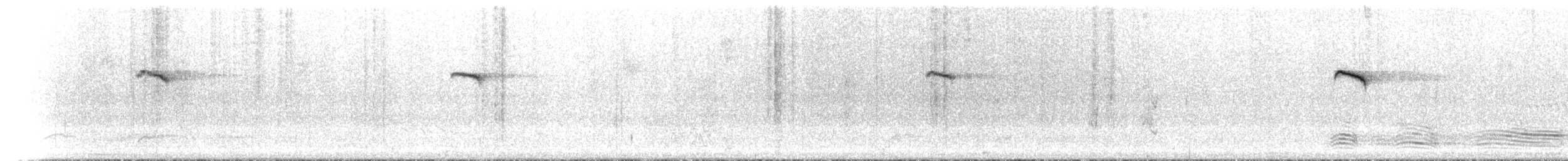 Al Kaşlı Belikınalı - ML646185635