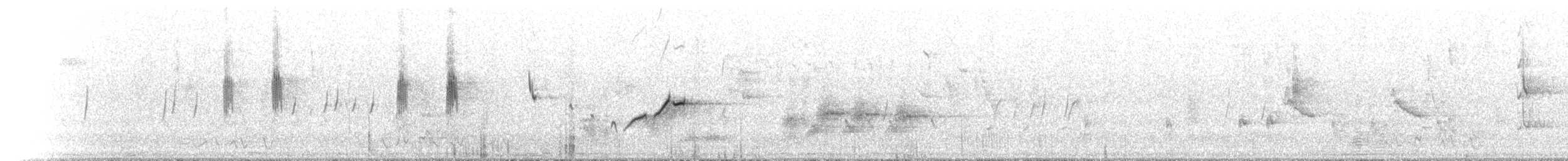 Güdük Gagalı Akantiz - ML646185636