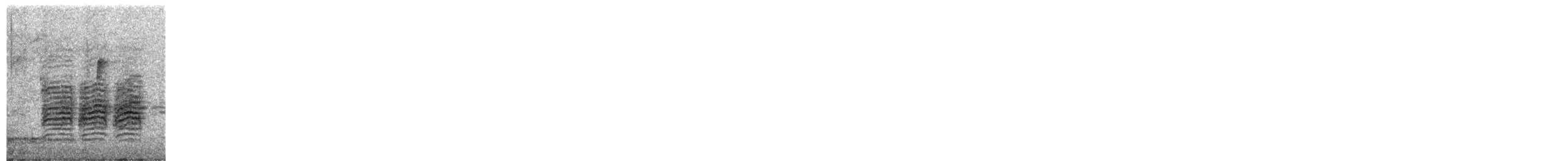 Amerika Baştankarası - ML646187305