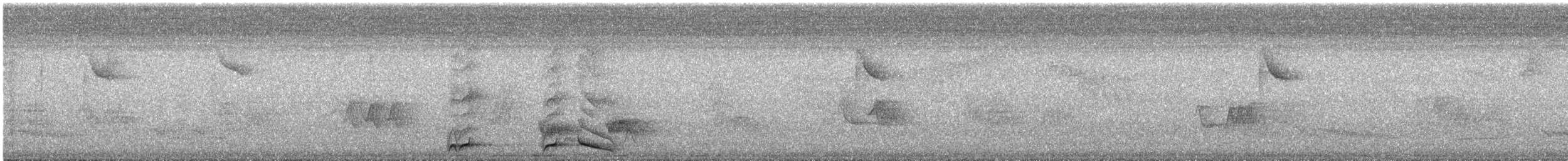 Cotinga Encapuchado - ML646187964