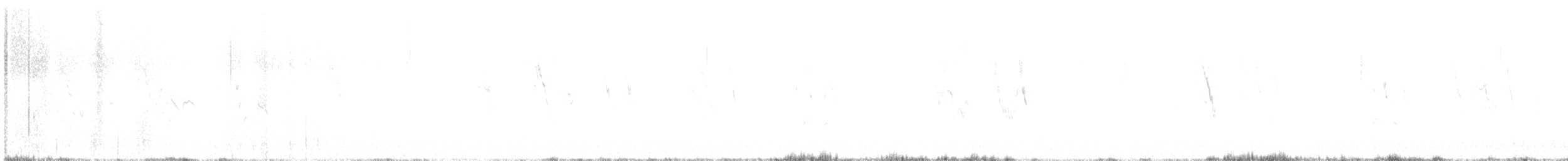 Lavandera Blanca - ML646187997