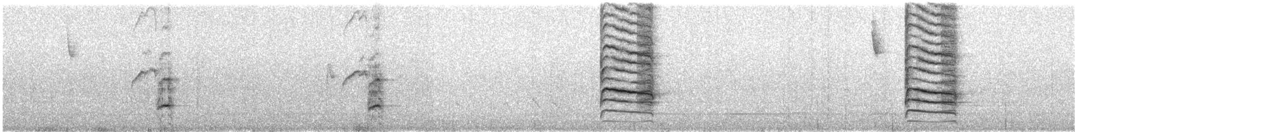 Chara Azul - ML646188356