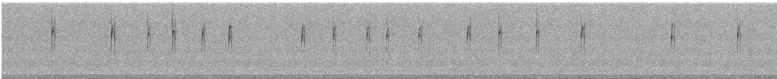 Araucaria Tit-Spinetail - ML646188582
