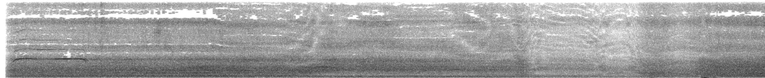 Short-tailed Hawk - ML646189057