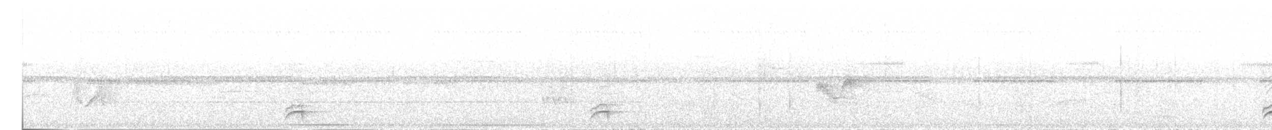 White-necked Thrush - ML646189153