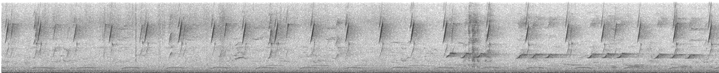 Noisy Miner - ML646189177