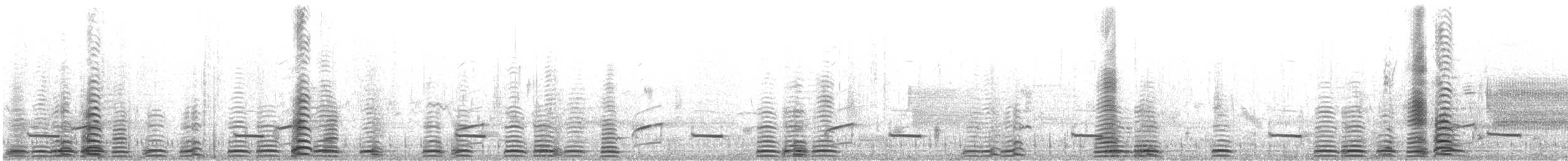 Trumpeter Swan - ML646189469