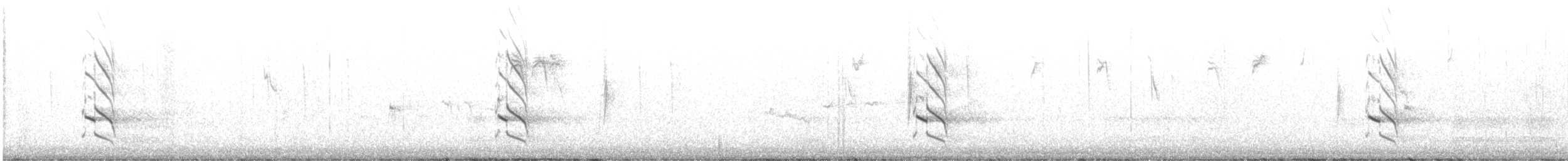 Gilded Flicker - ML646189471