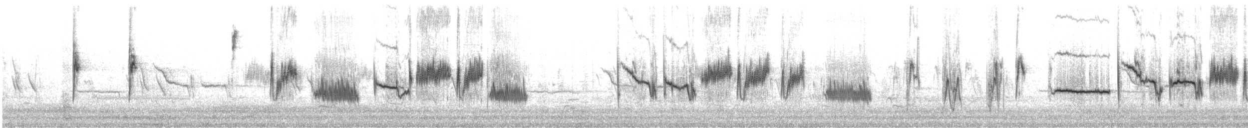 White-crowned Sparrow - ML646189479