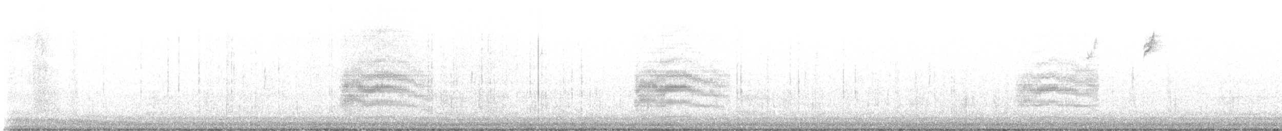 Тауї плямистий - ML646189495